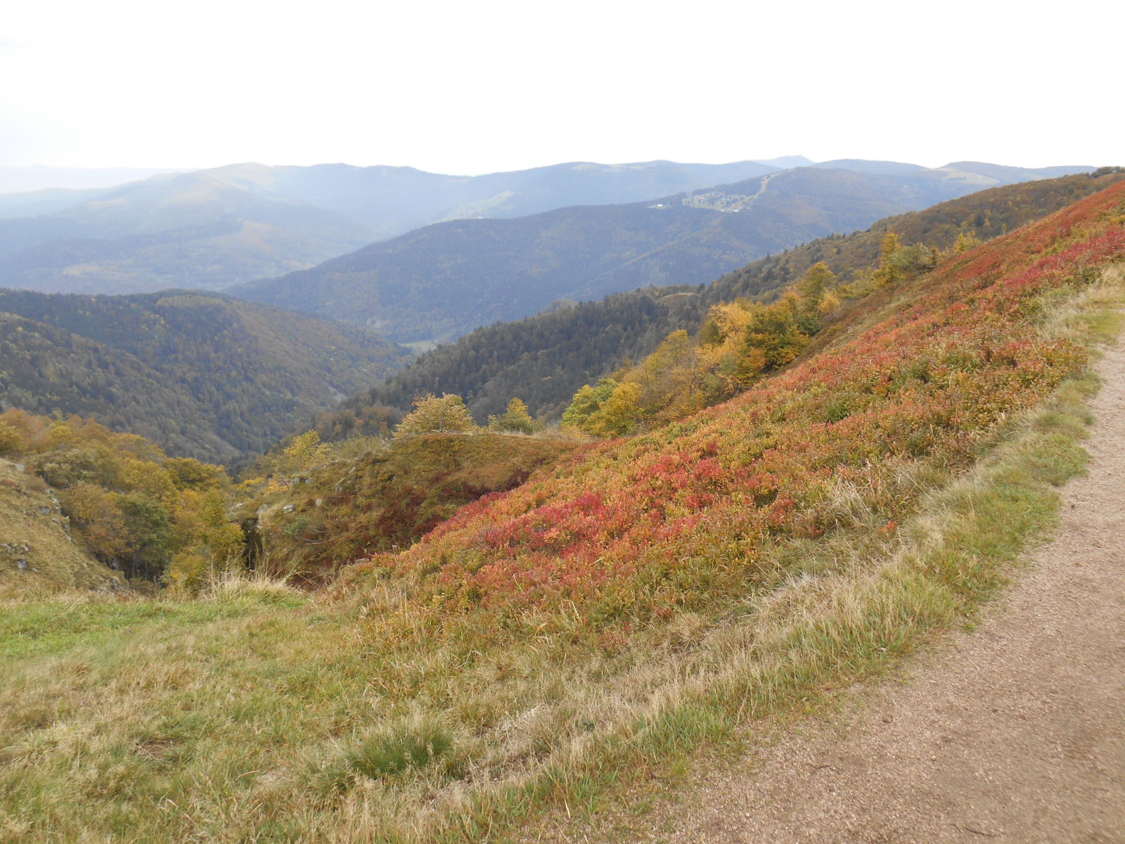 Vosges Montgeron randonnées